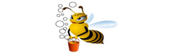 Domestic Cleaning